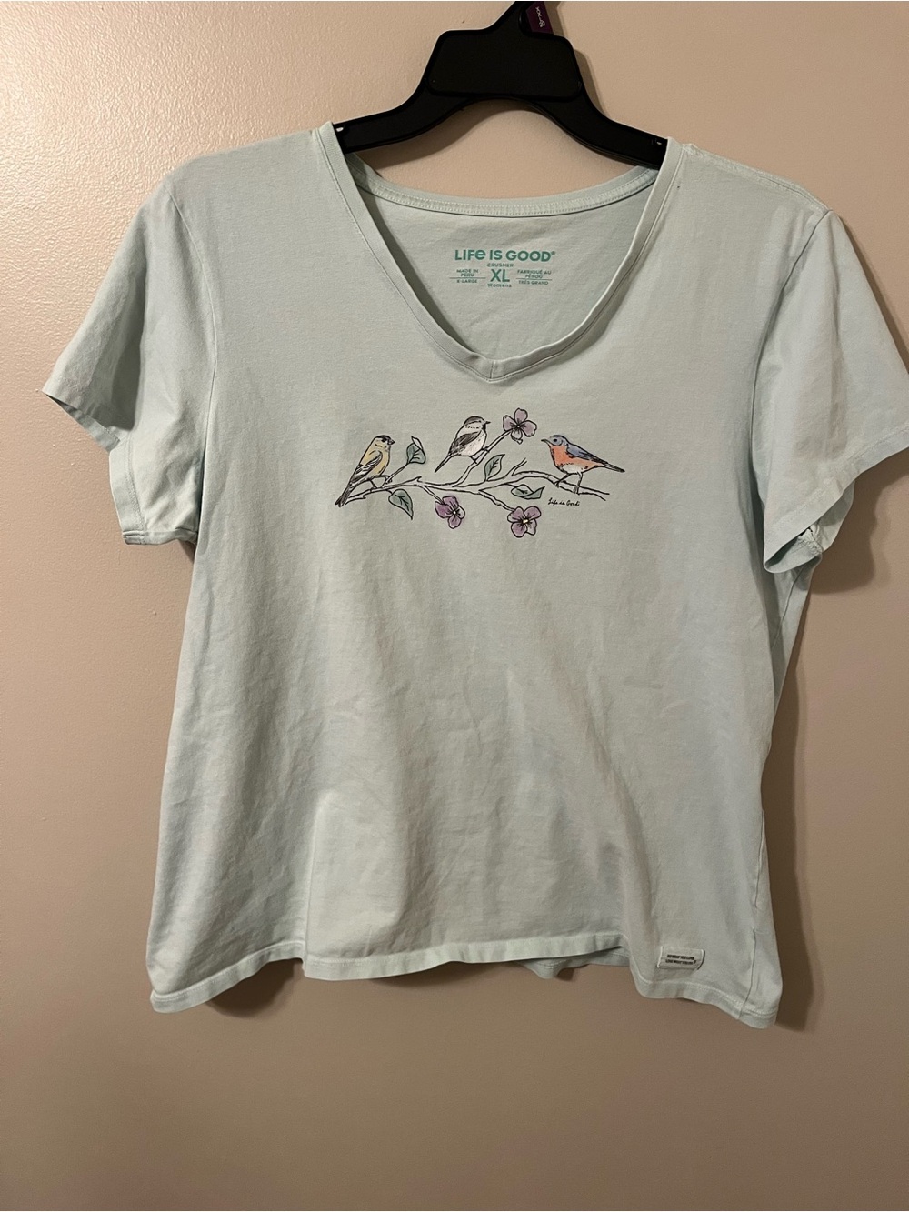 Life is Good shirt
